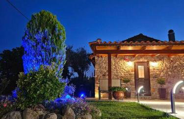 Patras stonehouse with large yard - Πέτρινο σπίτι με αυλή - Foto 3