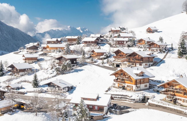 Serviced Apartment Chalet Bärgblüml i Ha - Foto 75