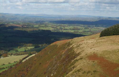 Pwllgwilym B & B - Foto 42