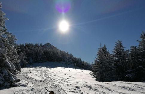 Ferienwohnung zur alten Schmiede - Foto 41