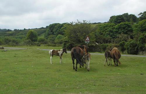 Cottage On The Square - Photo 15