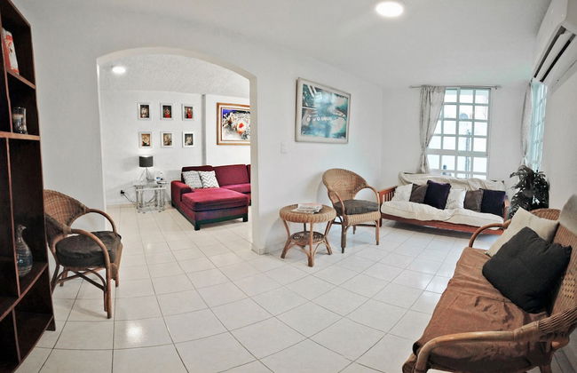 HominngBird - Foto 51