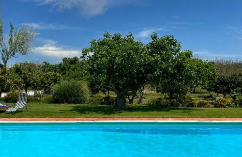 Casa de Campo, Quinta do Funchal - Foto 38