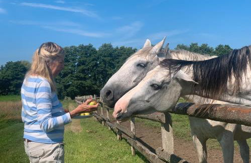 Historisches Haus Uhlenhorst - Foto 26