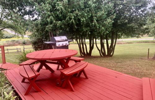 Somewhere In Time - Foto 8