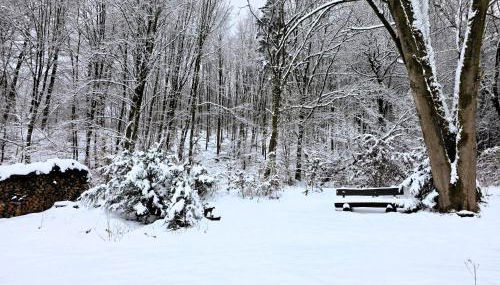 Ferienwohnung "Saba" - Foto 5, Garden