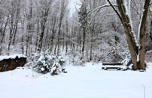 Ferienhaus Kruko - Photo 45