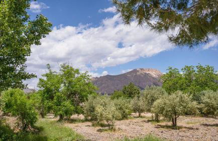 Cortijo El Álamo 1 Vélez Blanco by Ruralidays - Photo 46