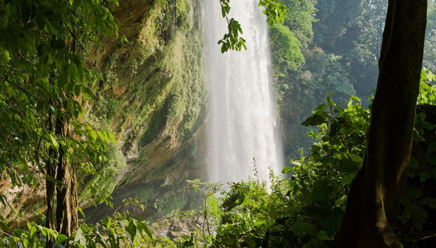 Agua Azul, Misol-ha and Palenque - Foto 5