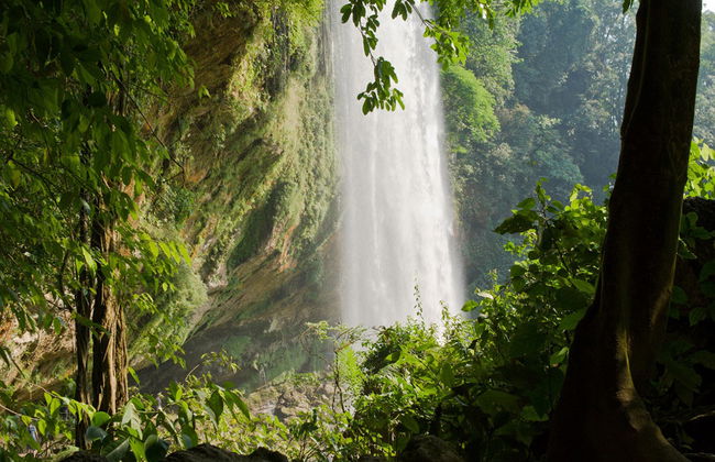 Agua Azul, Misol-ha and Palenque - Foto 5