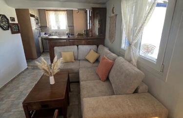 My Tinos Family Villa - Foto 19