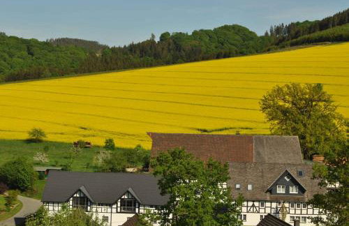 Ferienwohnungen Übern Hof - Foto 8