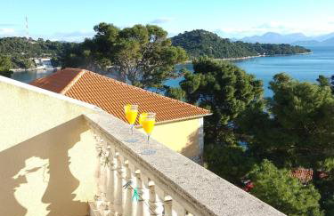 Apartments Laura - Mljet - Foto 29