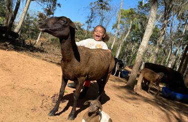 Hotel Fazenda Minas Real - Photo 18