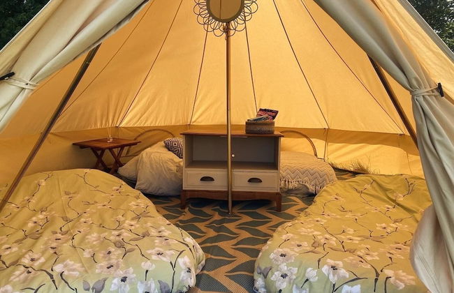 Elm - Bell Tent 2-4 Person Anglesey, North Wales - Photo 8