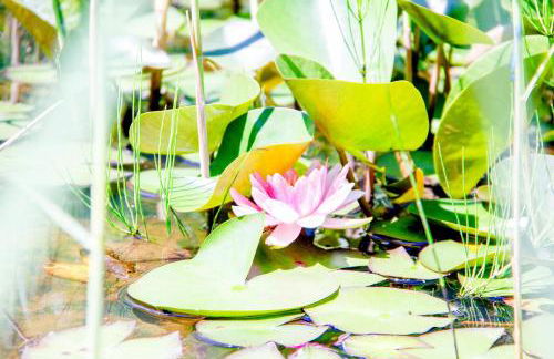 Geographer´s Cottage - Foto 5