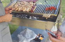 La Casita de Tití - Photo 5