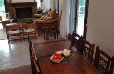 Deluxe house in Tsangarada - Foto 32