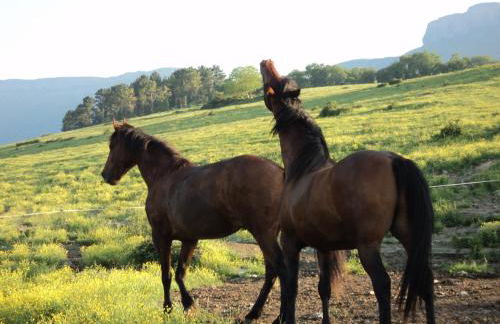 Casa Rural El Ribero II - Photo 26