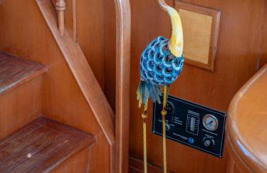 Master&Commander - Foto 34