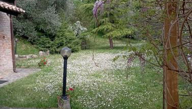 Rustic hillside stone-Rustico in pietra - Foto 3