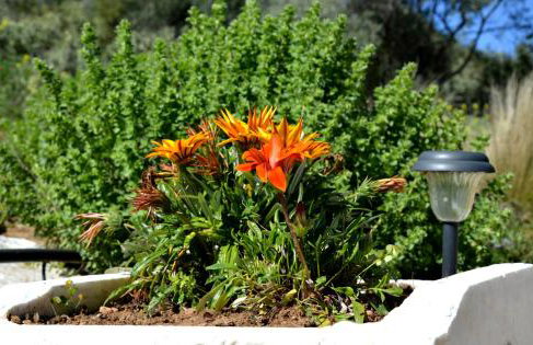 Marathon Eco Stay - Foto 16