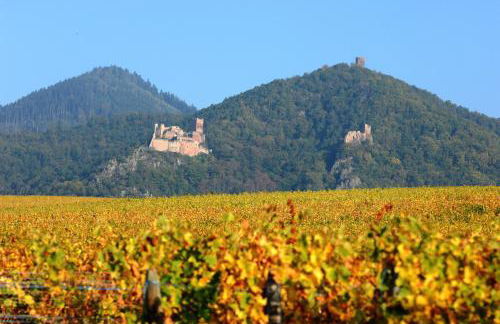 The One Apartments - Foto 28