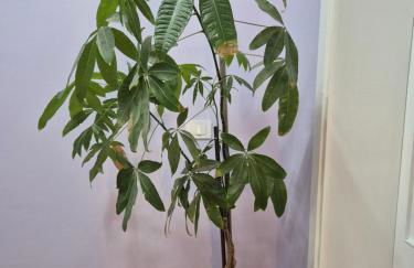 Il sogno degli angeli - Foto 28