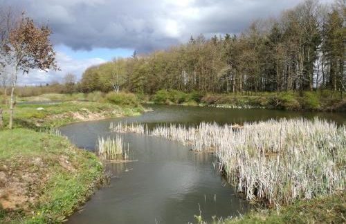 Haus Friedrichsen - Photo 45