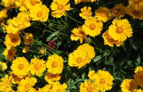 Agriturismo Su Barraccu - Foto 68