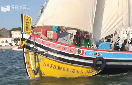 Casa Terra Cota - Seixal - Foto 44