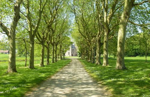 Stone House in Sibiril near Sandy Beach - Foto 27