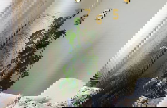 Kron s Apartment in Shkod r - Foto 1