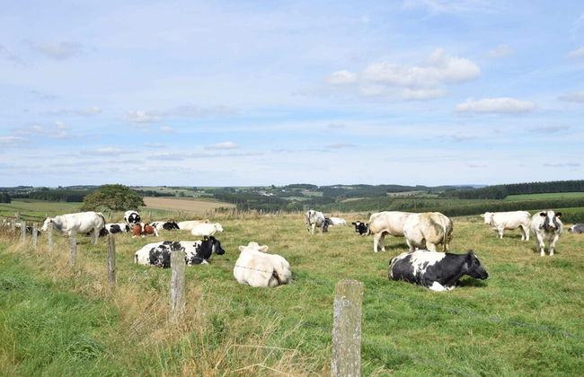 Cottage in Ardennes With Heated Pool - Photo 30