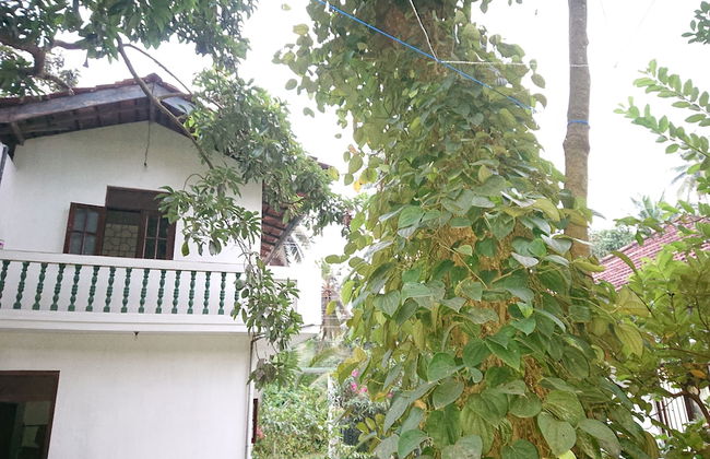 More Attractive Wonderful 1950 Mid-century Home With Another Newly Built House - Foto 25