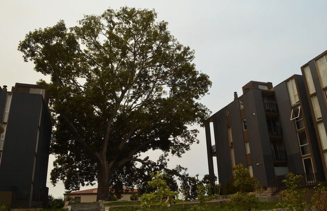 Lofts Magnolio Cerro Alegre - Foto 39