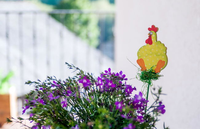 Casa Rural Aguas Frias - Foto 14