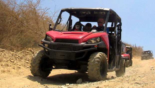 Buggy que vous conduirez