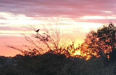 The Loft Midhurst - Foto 20