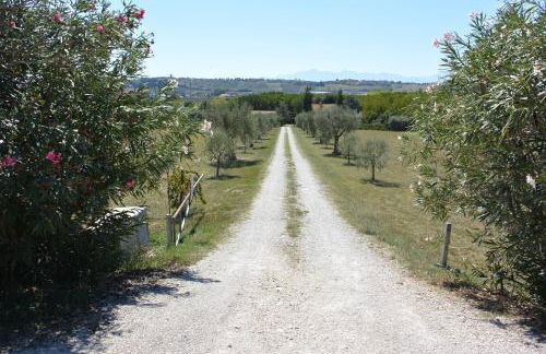 Il Gheriglio - Foto 36