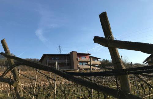 Agritur Verderame - Foto 130