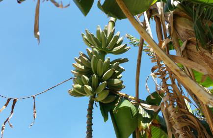 Villa Cristina - Foto 36