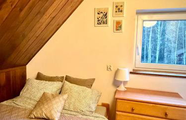 Kurort Mirowice-domek w lesie, z balią z jacuzzi i hydromasażem - Foto 38