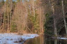 Zielony domek nad Marychą w Budwieć - Foto 46