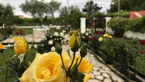 Yiouli Holiday Home - Foto 4