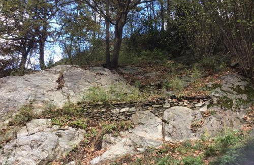 Mas Graffouil - Foto 8