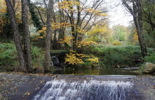 Casa Rural Estrela - Foto 24