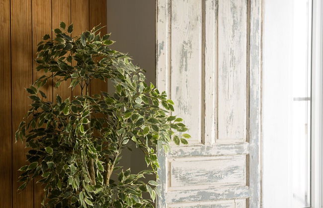 Casa Cuna in Arcos de la Frontera - Foto 27