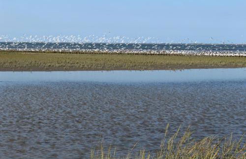 Ferienwohnung Rabenstein - Foto 6