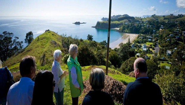 Waiheke Island Hop-On Hop-Off Explorer Bus from Auckland (Small Group Tour) - Reserve Ferry Return - Foto 5